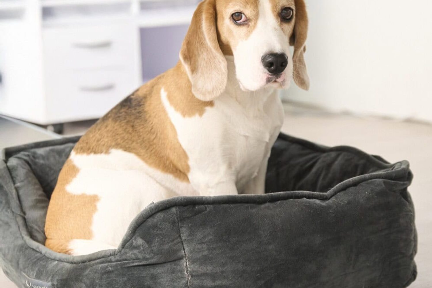 ambulanter-pflegedienst-berlin-spandau-unique-care (1)