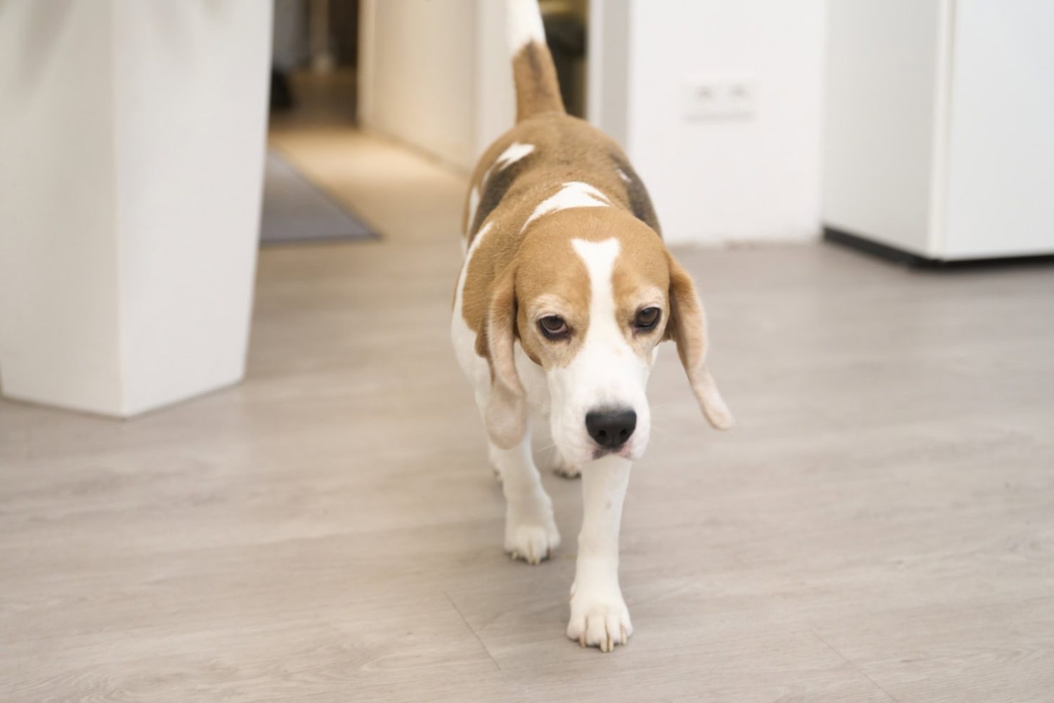 ambulanter-pflegedienst-berlin-spandau-unique-care (7)